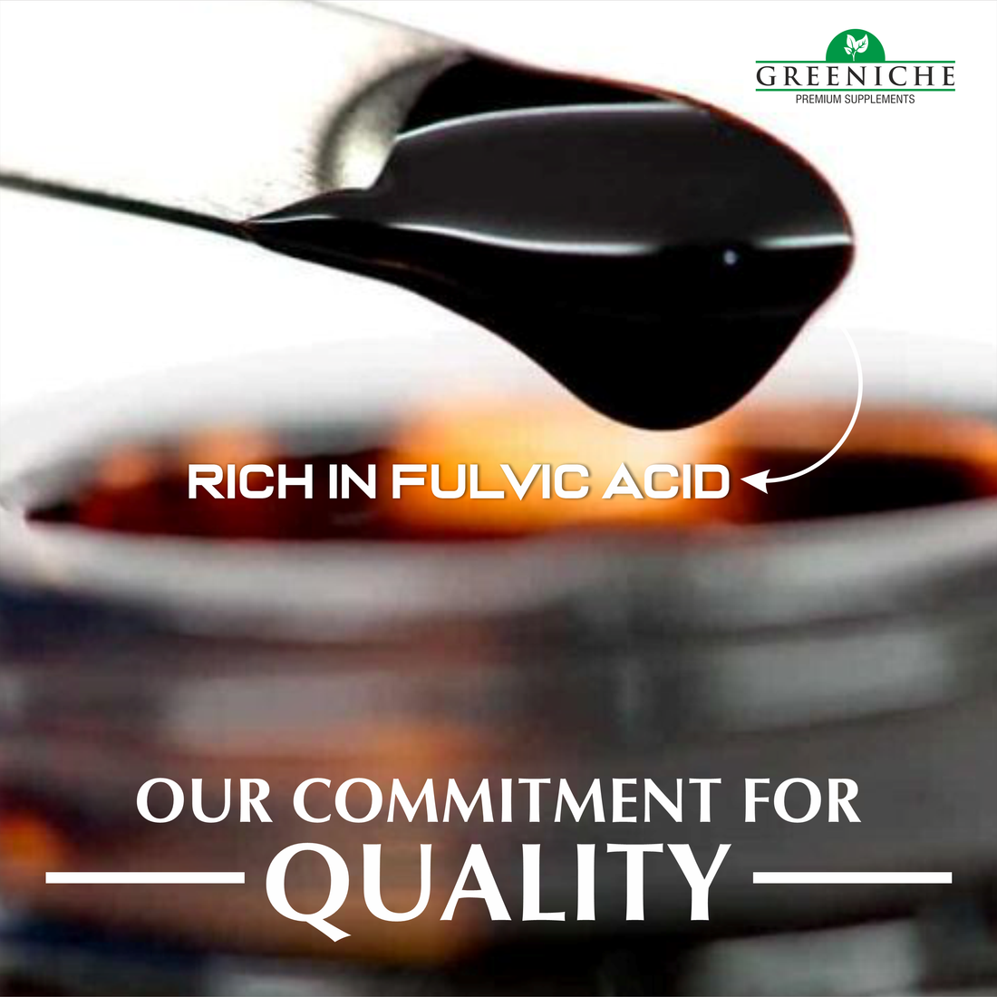 Shilajit – The Ancient Himalayan Secret for Strength and Vitality