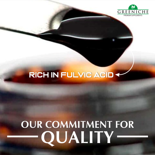 Shilajit – The Ancient Himalayan Secret for Strength and Vitality