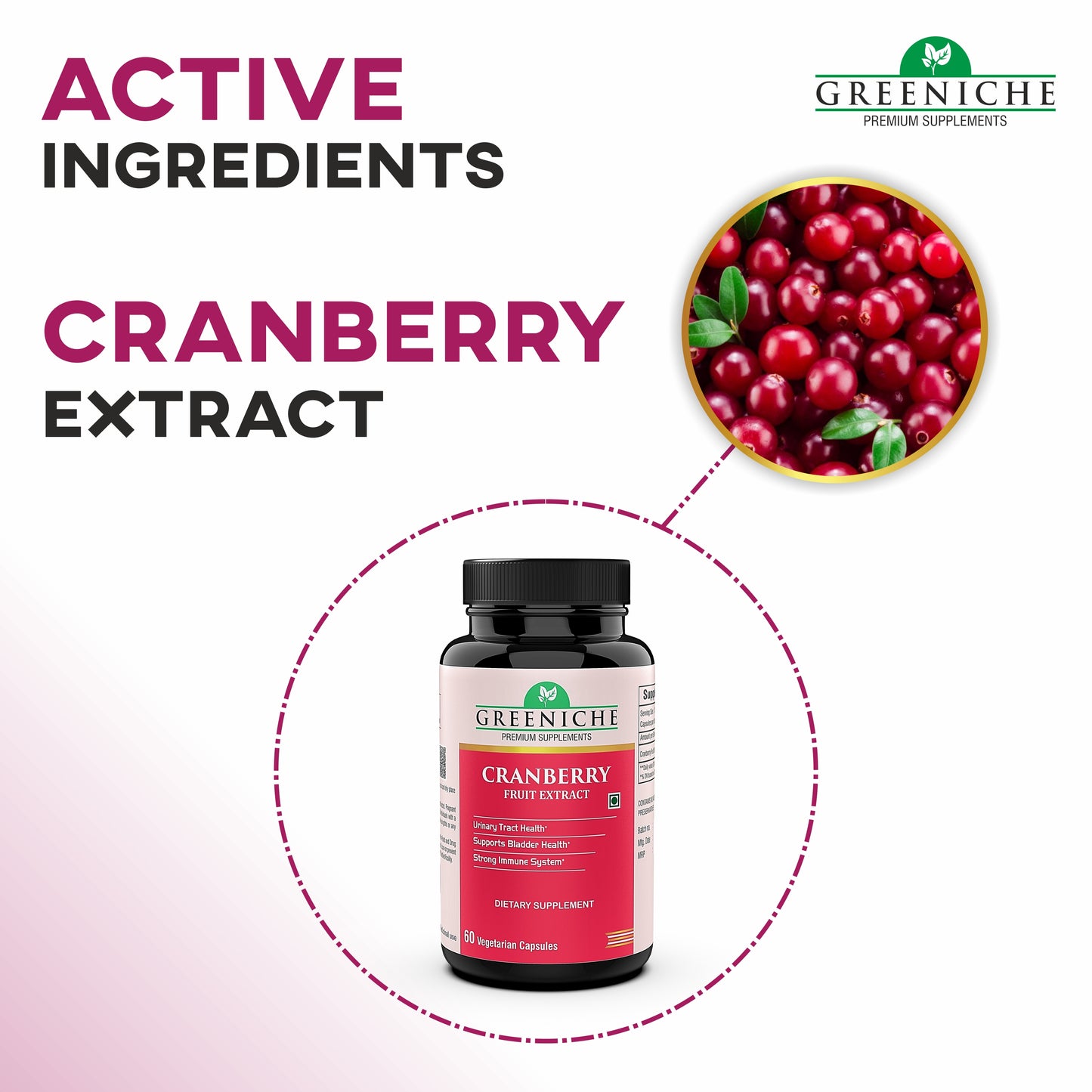 Greeniche Natural Cranberry Extract 500 Mg L Supports Urine Tract Health L Bladder Health L Support UTI Prevention