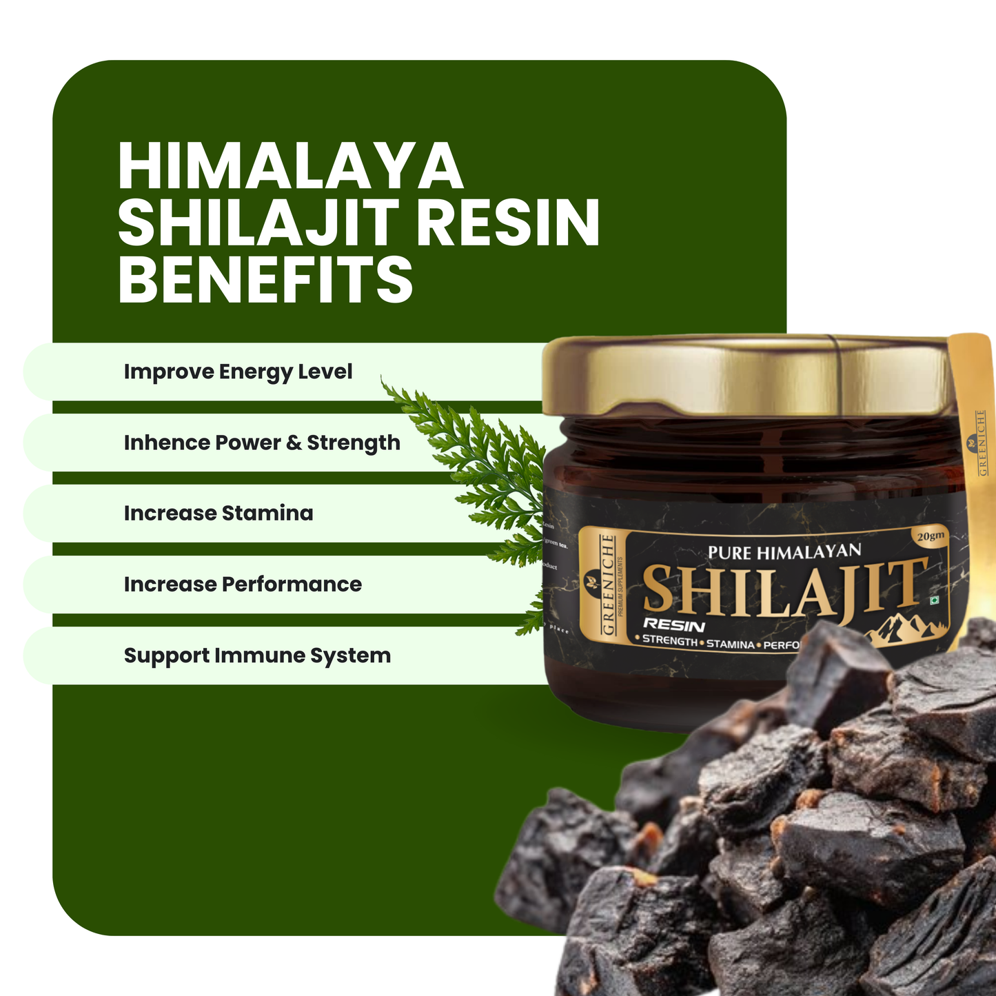 Himalaya Shilajit Resin: Pure