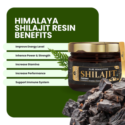 Himalaya Shilajit Resin: Pure
