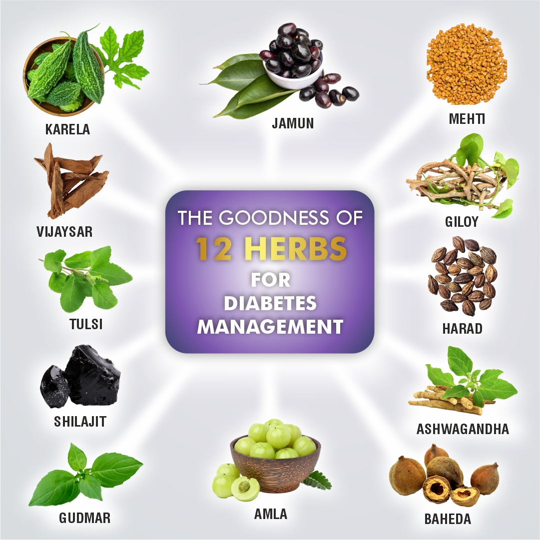 Greeniche DiabShakti Powder – Ayurvedic Support for Blood Sugar Management