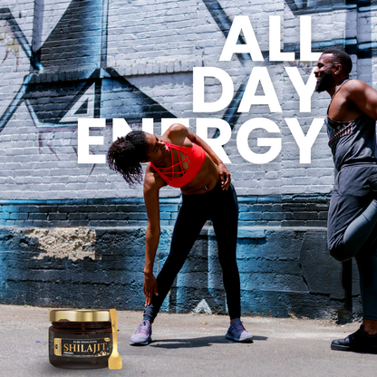 Himalaya Shilajit Resin: Pure