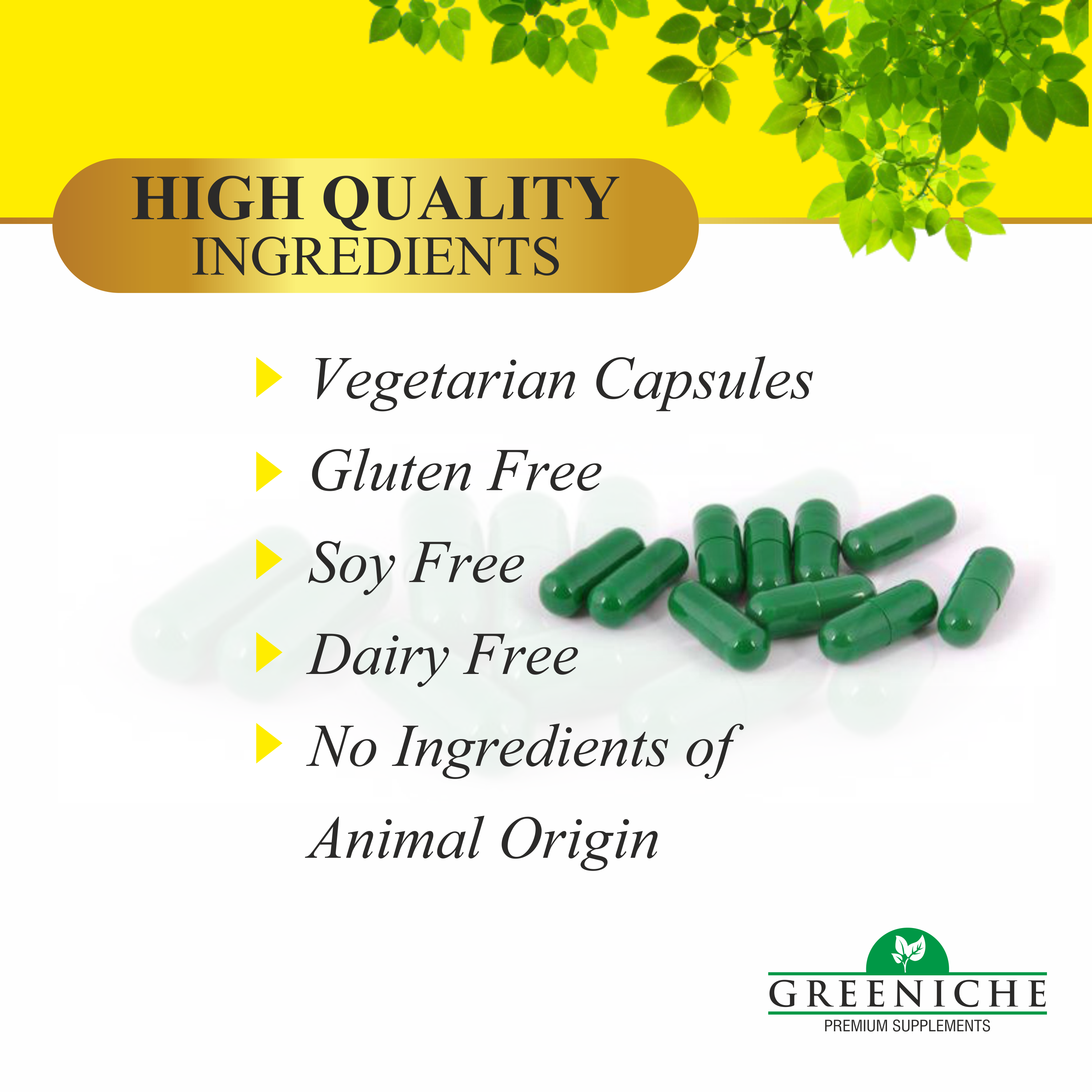 Greeniche Stress Free – Natural Stress Relief with Ashwagandha & Brahmi Extract | Supports Mental Calmness & Cognitive Function