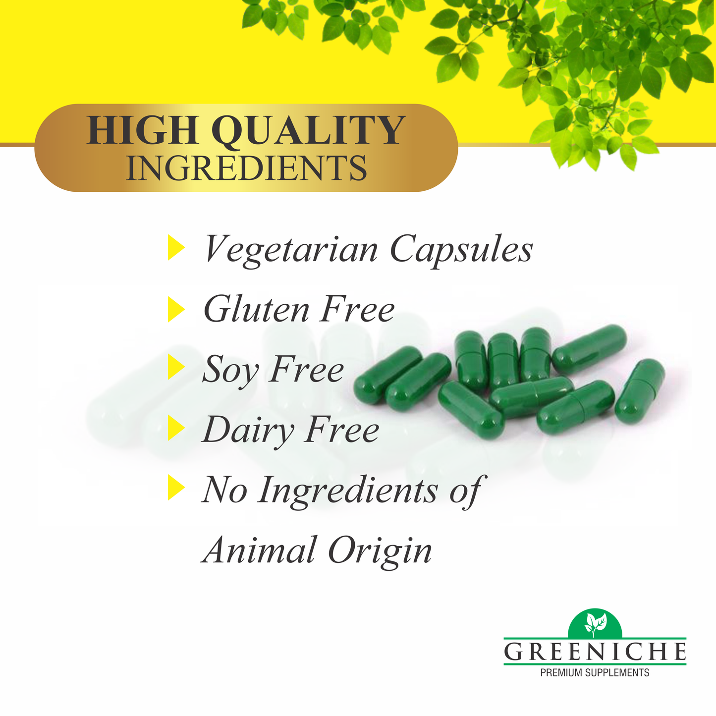 Greeniche Omega-3 Fish Oil (300mg EPA; 200mg DHA; 100mg Other Omega 3 Fatty Acids)